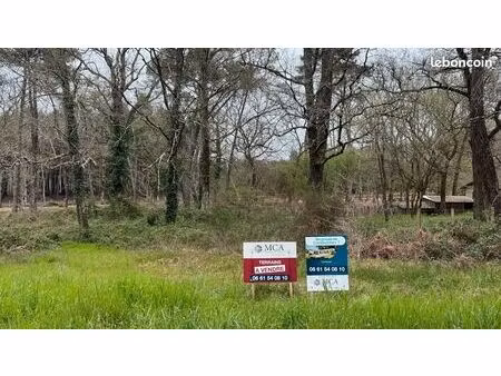 terrain 1 000 m² damazan