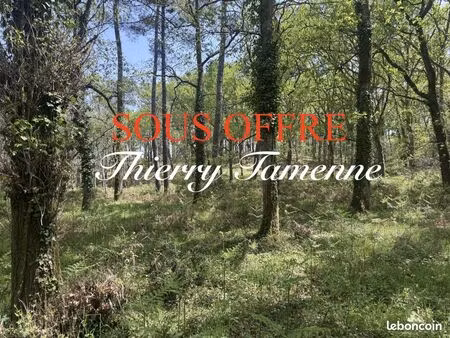 vente | forêt | 48400 m² | barbaste