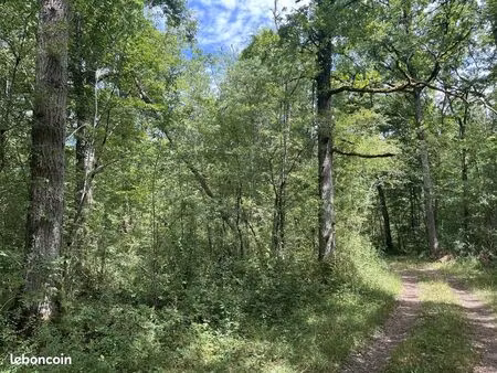 terrain 551889 m² pressigny-les-pins