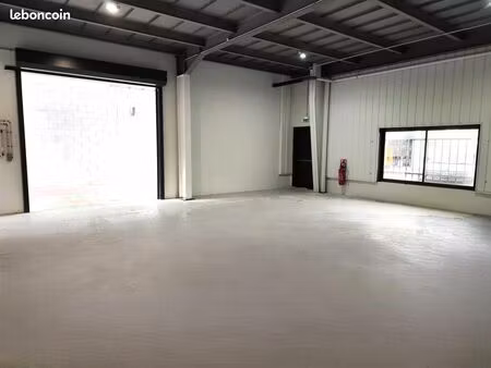 local 81 m²