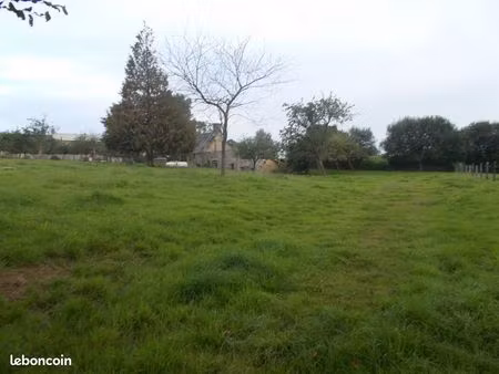 terrain constructible