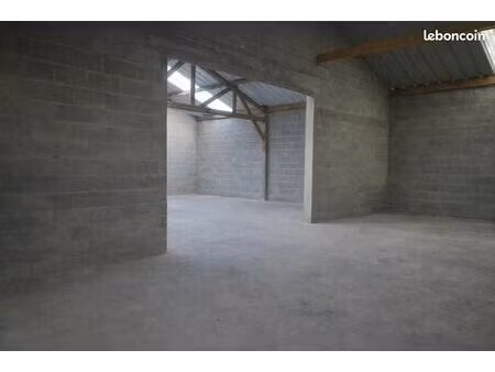 local professionnel de 440 m² (divisible)
