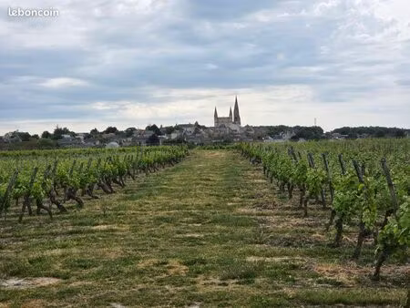 vignes / terrain viticole 26 ha