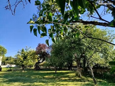 terrain cloturé arboré 1200m2