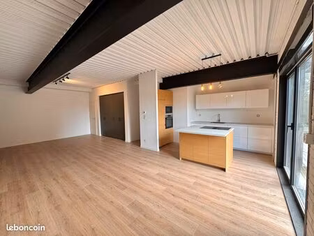 magnifique loft 110 m2