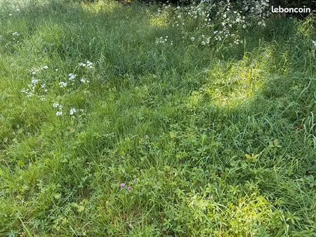 terrain 650 m² trefflean