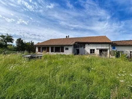 roses immobilier