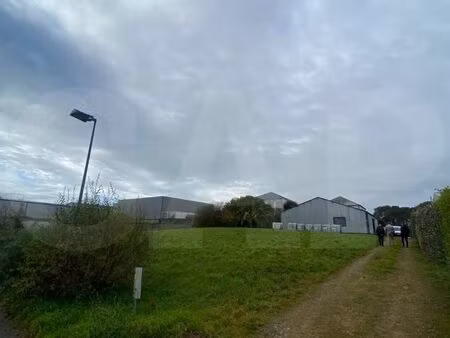 terrain merlevenez