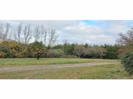 entrepôt 800 m2 habitation 200 m2 terr10000 m2