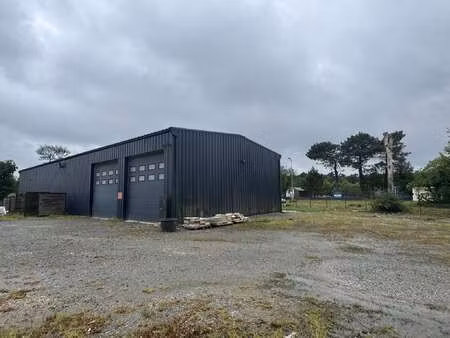 vente bureaux et commerces à péaule (56130) : à vendre / péaule