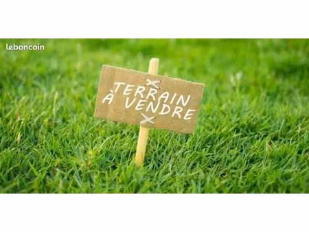 terrain 1 555 m² dives