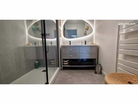 appartement t3 entièrement rénové