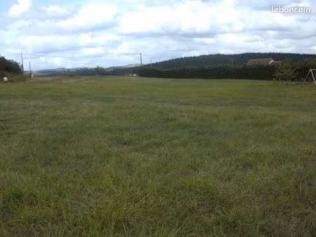 terrain a batir viabilise