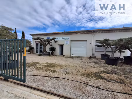 local commercial - 240m2 - sauve