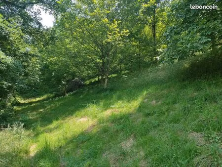 terrain vallée de barétous