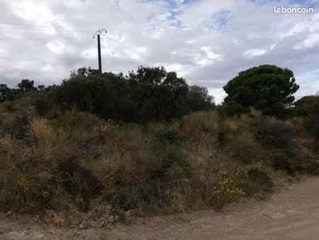 terrain agricole banyuls sur mer
