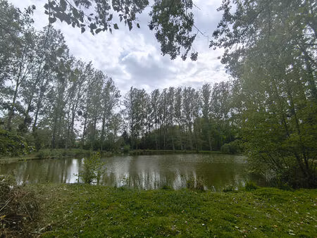 terrain de loisirs avec étang sur marcillé-raoul (35)