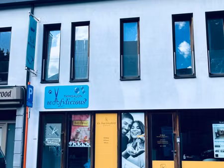 appartement te huur in deerlijk met 1 slaapkamer