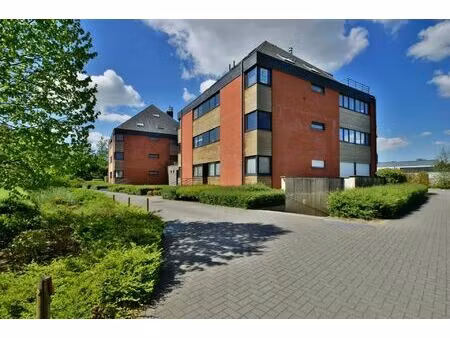 appartement te huur in kalmthout met 2 slaapkamers