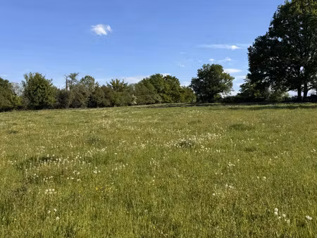 achat terrain 2 500m² ste feyre 23000