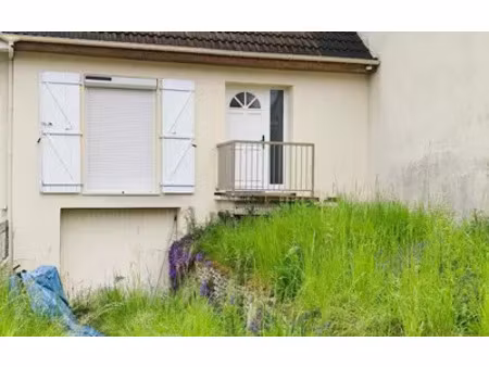 gonesse (95500)