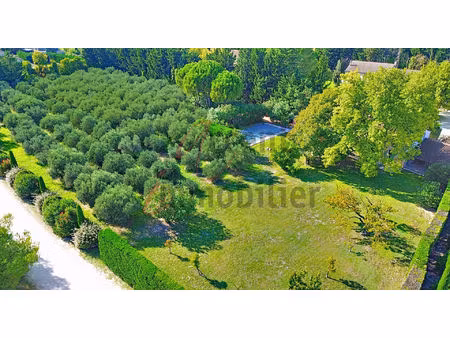 noves : mas avec oliviers  piscine et annexes
