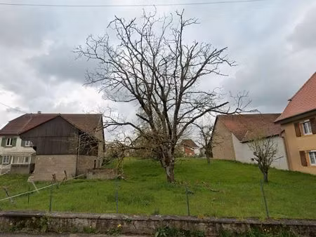 terrain 396 m² aspach le bas