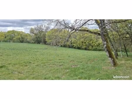 terrain 6 000 m² pinsac