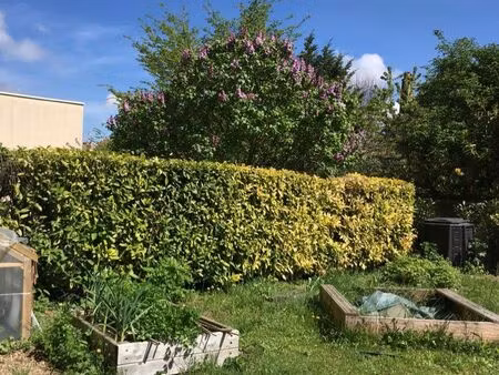 famille cherche maison 3 chambres proche centre ville de dijon
