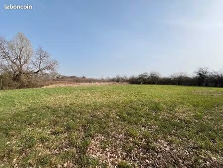 terrain 1 978 m² grieges