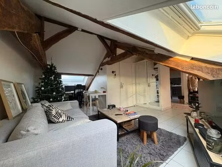 appartement 30 m² ( 59 m² au sol)
