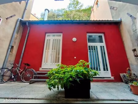 loue loft meublé avec terrasse / quais de saône - 1 chambre  52m²  ■lyon 5ème