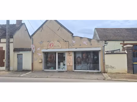 achat local commercial 84m² thorigny sur oreuse 89260
