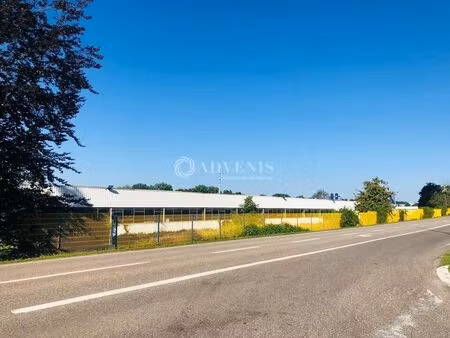 location local d’activités brumath 67170 1000m² à 4000m²
