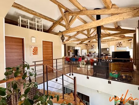 maison en pierre  5 chambres - appartement - local commercial - piscine - jardin -...