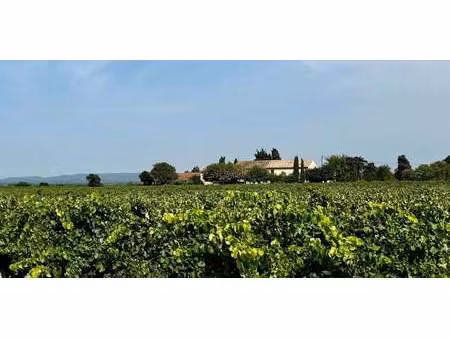 propriété avec jardin tulette (26)