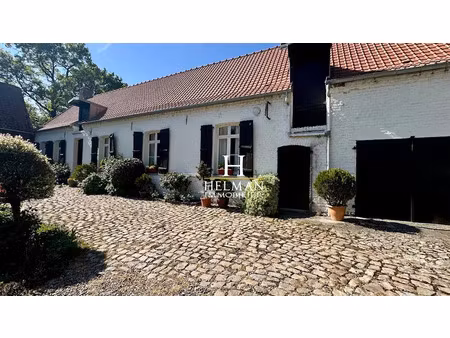 vente ferme 7 pièces 161 m² à renescure (59173)  316 500 €