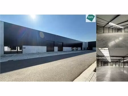 surface industrielle à vendre à bruggesteenweg 263 hooglede (rbv83000)