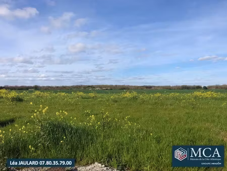 vente terrain 419 m² bourgneuf (17220)