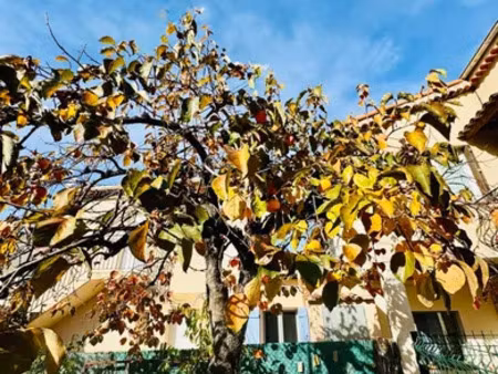 appartement à vallauris (06220)