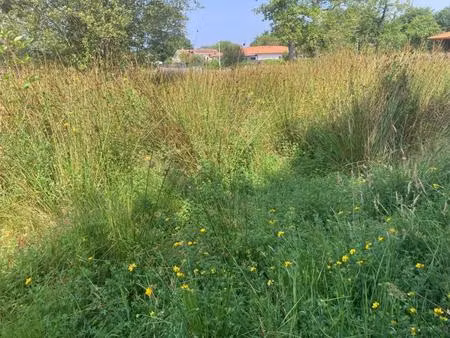 vente terrain à construire 530 m² biscarrosse (40600)