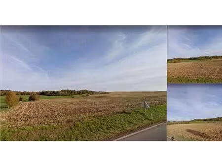terrain à vendre à rue des ardennes 0 beauraing (vbe18732)
