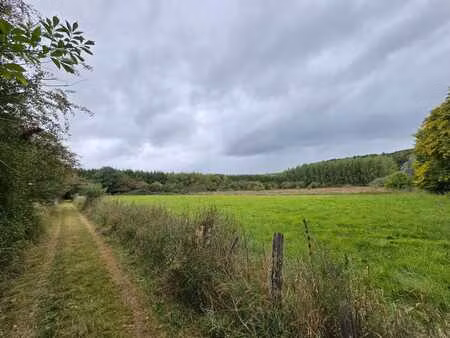 belle prairie libre d'occupation de 1 ha