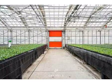 entreprise horticole (1 98 ha) avec 9.400 m² de serres et ma