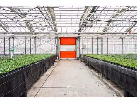 exploitation horticole (1 98 ha) avec serres de 9 400 m² et