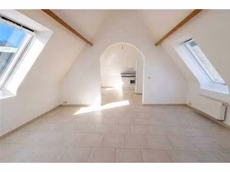 appartement lumineux 1 chambre
