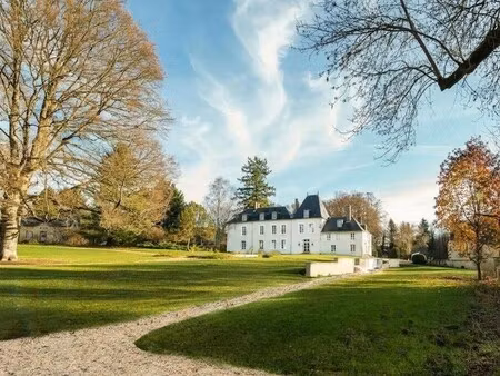 château à vendre à ivoy-le-pré
