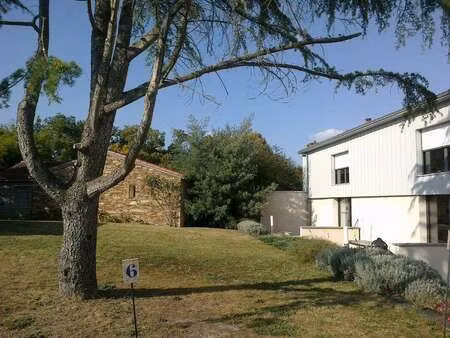 location appartement 2 pièces à basse-goulaine (44115) : à louer 2 pièces / 36m² basse-gou