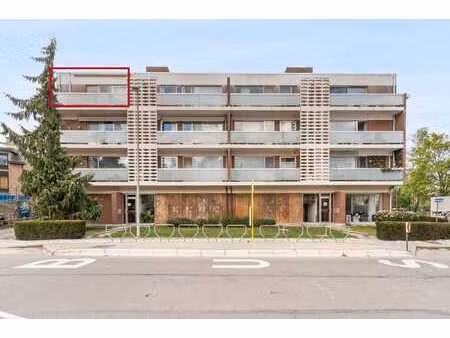 à vendre: appartement 3 chambres à temse