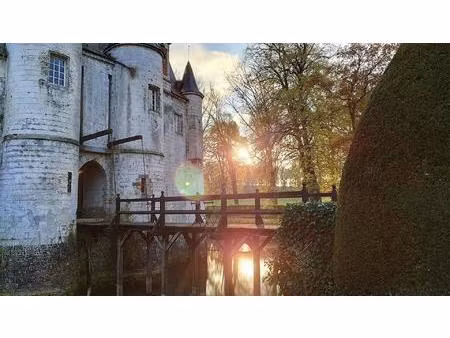 château médieval  monument historique sur 6 5 hectares près de saint-omer